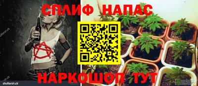 альфа пвп Анапа