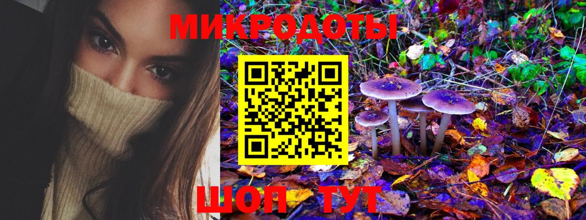 Галлюциногенные грибы Psilocybe Астрахань