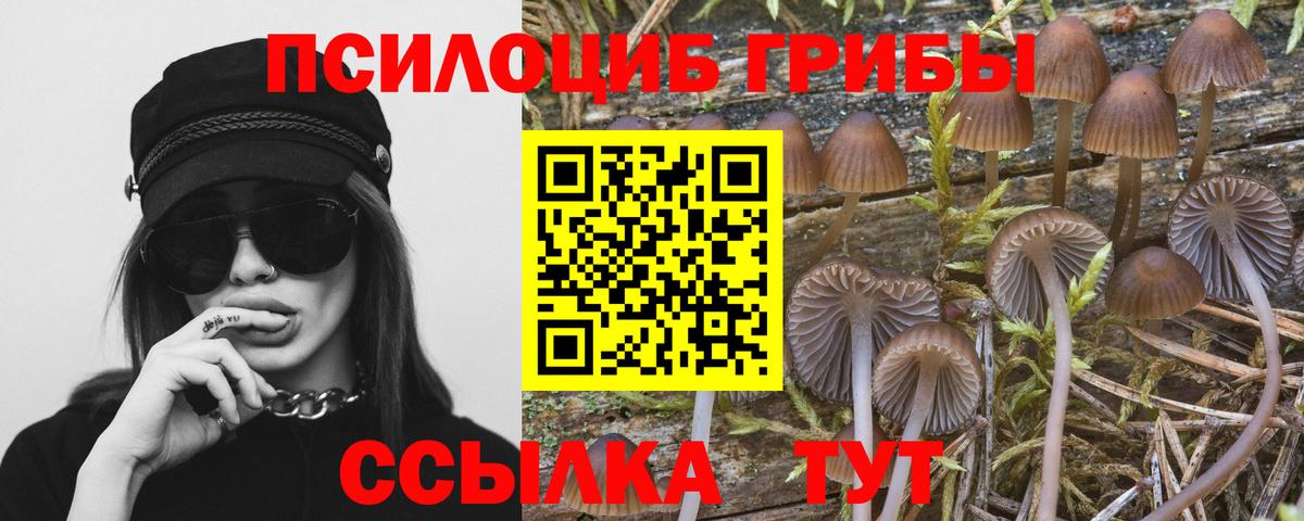Галлюциногенные грибы ЛСД  Вход с VPN  Псилоцибиновые грибы Psilocybe  Астрахань 